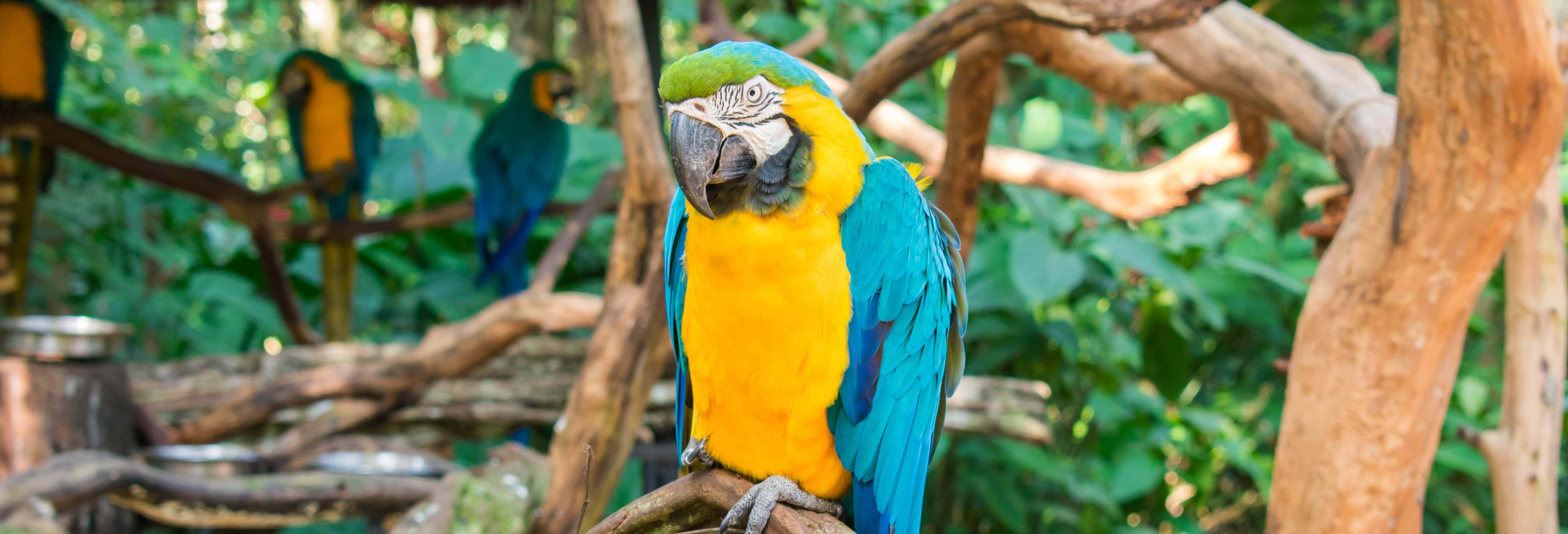 Ingresso do Parque das Aves